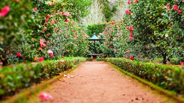 Parque botánico arbolado con palmeras y senderos florales en Finca Los Olivos San Juan
